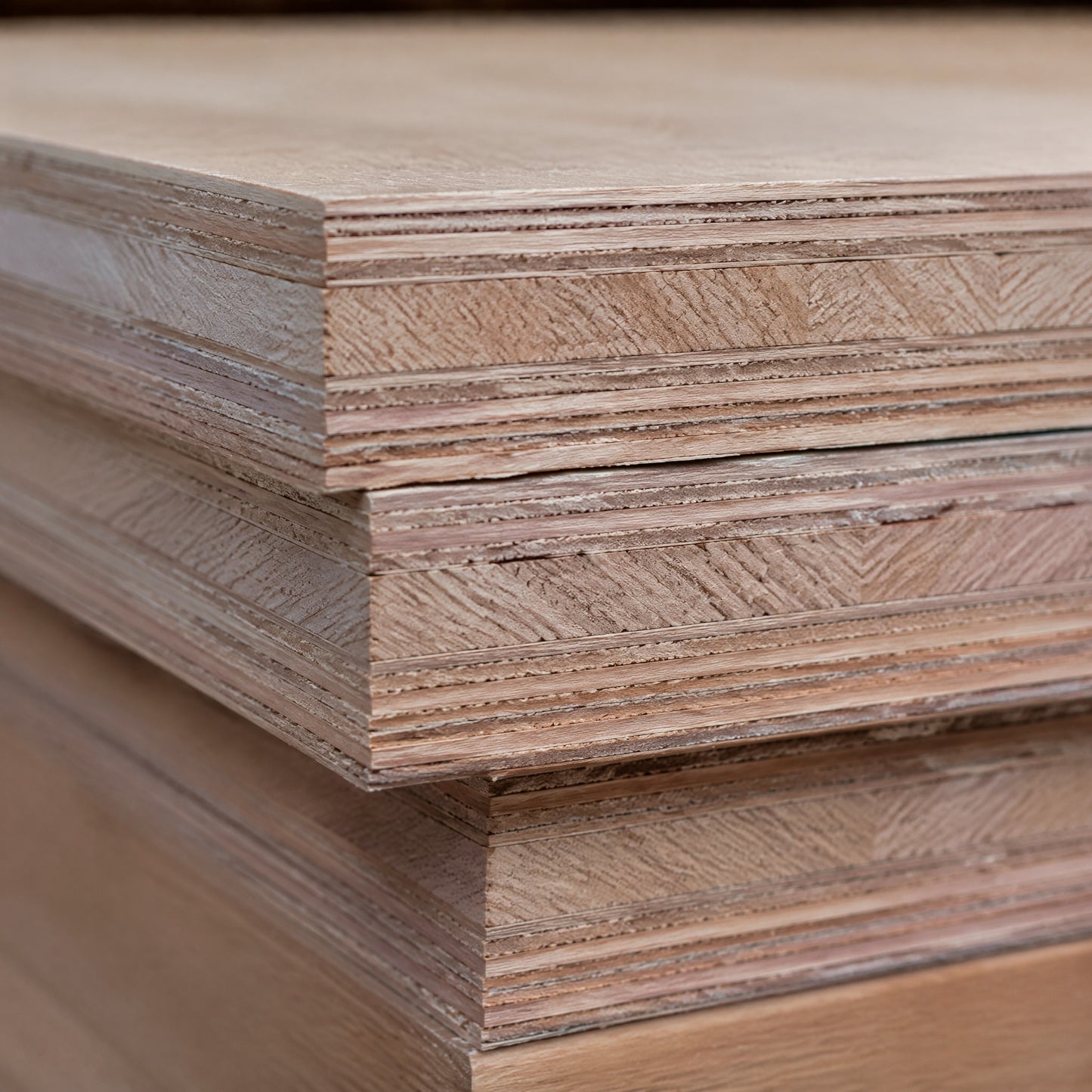 CDX Plywood Sheathing 1/2" x 4' x 8'